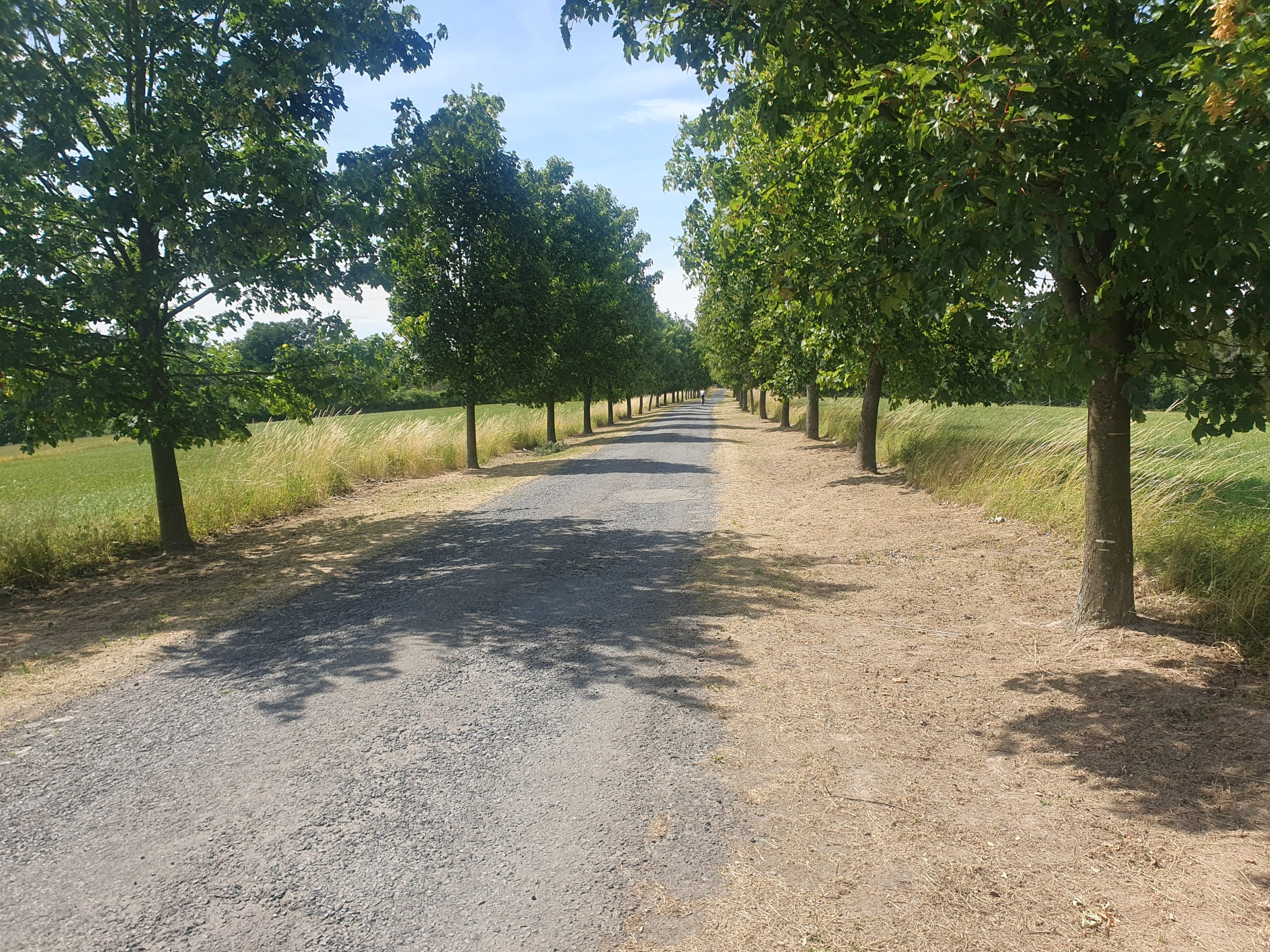 Praha – Balt den 1: 120 km dobrodružství, které odstartovalo velký bikepacking